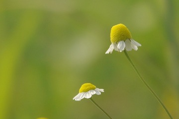 177405