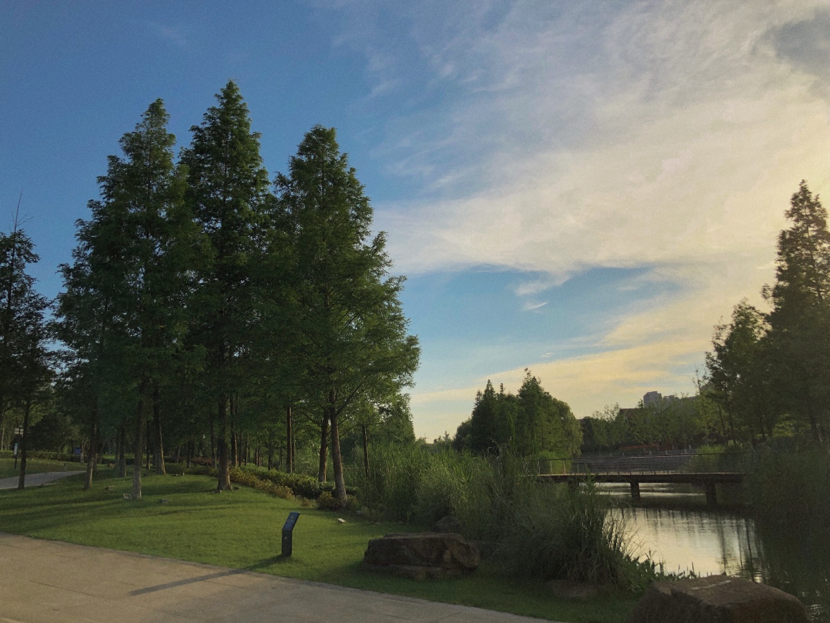 没错,这里就是临平区的东湖公园 - 天天手机摄影 - 图虫