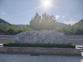 1000008341
