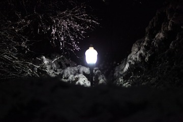 IMG_2546.JPG