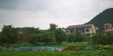 3096442