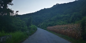 3087548