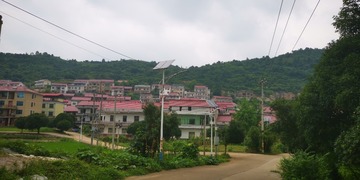 3096449