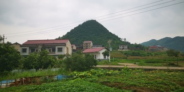 3096443