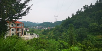 3096433