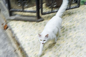 DSC_0484-恢复的