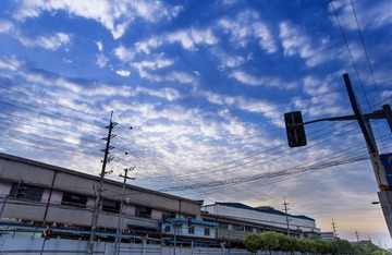 “DSC_0560”为智能对象-1-恢复的