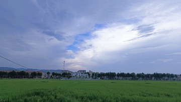 1000046725