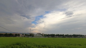 1000046725