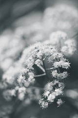 151050