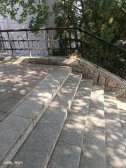 1000053975