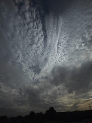 1000004231