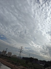1000004229