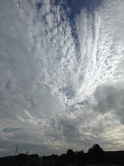 1000004228