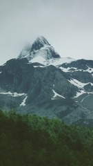 116652
