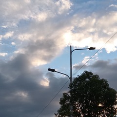 1000041522