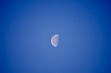 1000103974