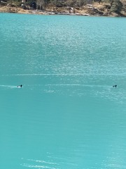 1000005680