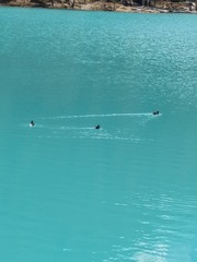 1000005570