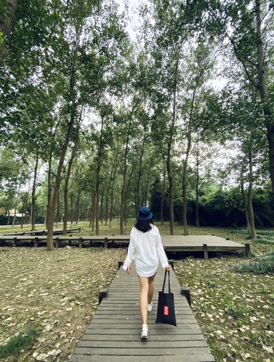 背影小清新森林