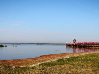 6519943