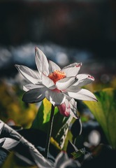 1000042580