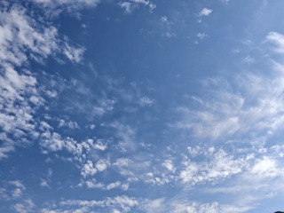 1000002658