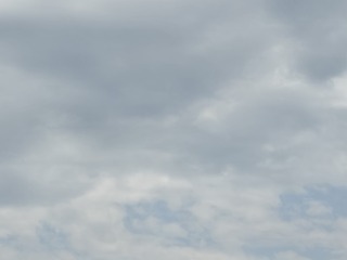 1000002631