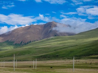 IMG_1296.jpg