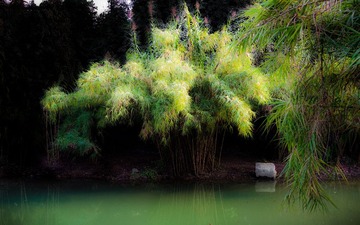 IMGP6035-1