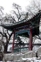 IMGP6997-1
