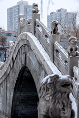IMGP7012-1