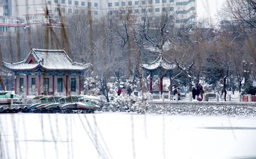 IMGP7016-1