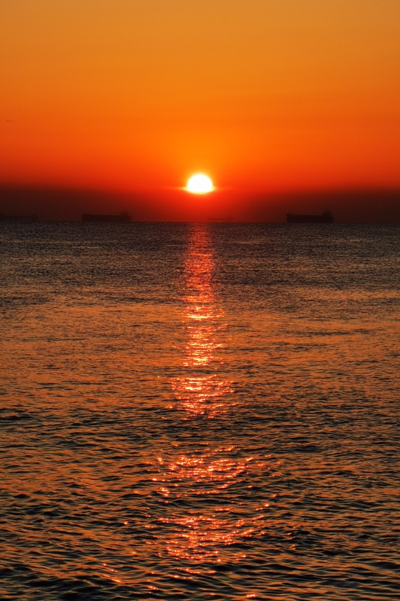 800_1200竖版 竖屏