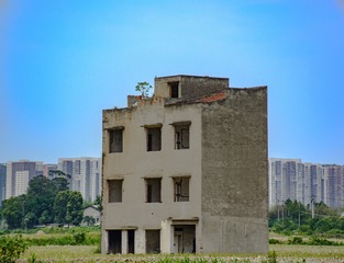 1000034956
