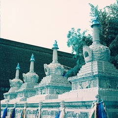 1000107562