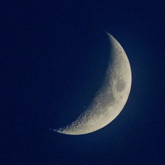 1000054541