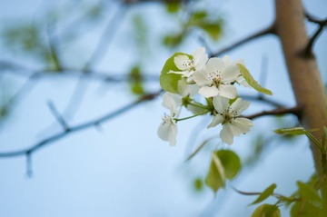 DSC_0011.jpg