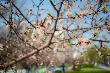 DSC_9895.jpg
