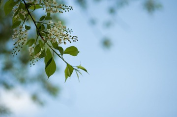 DSC_9998.jpg
