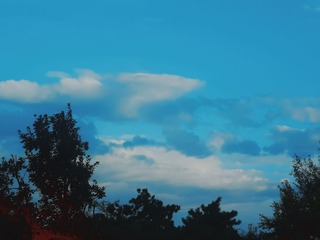 1000008190