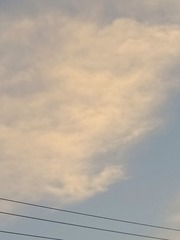 1000013226