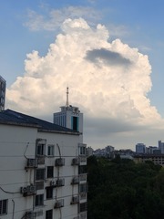 1000003991