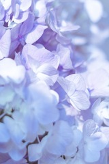 DF36546F-93C9-4371-BC04-32A4CF36368A/L0/001