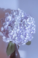C92C42E7-E4E6-487D-84C9-5D788CD31841/L0/001