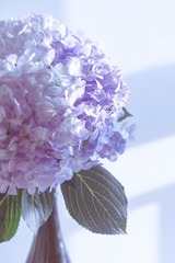 6C7D5D97-B887-47AE-BF38-101CEB228C98/L0/001