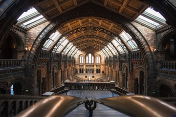 Natural History Museum
