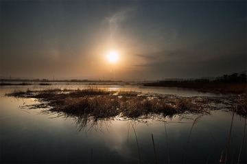 “_DSC1027”
