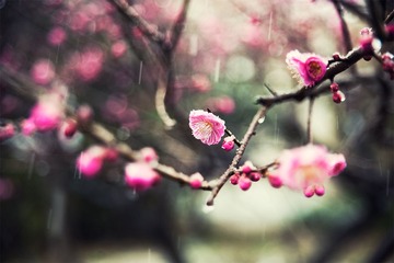 “_DSC0991”