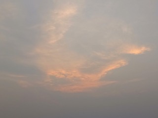 1000011217